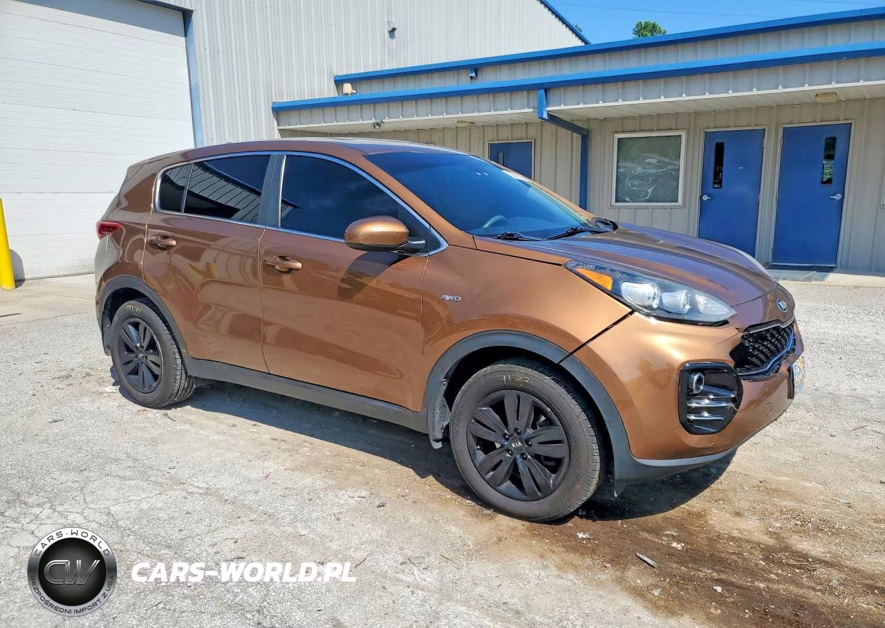 2019 Kia Sportage Lx VIN:KNDPMCAC0K7497493 - 4
