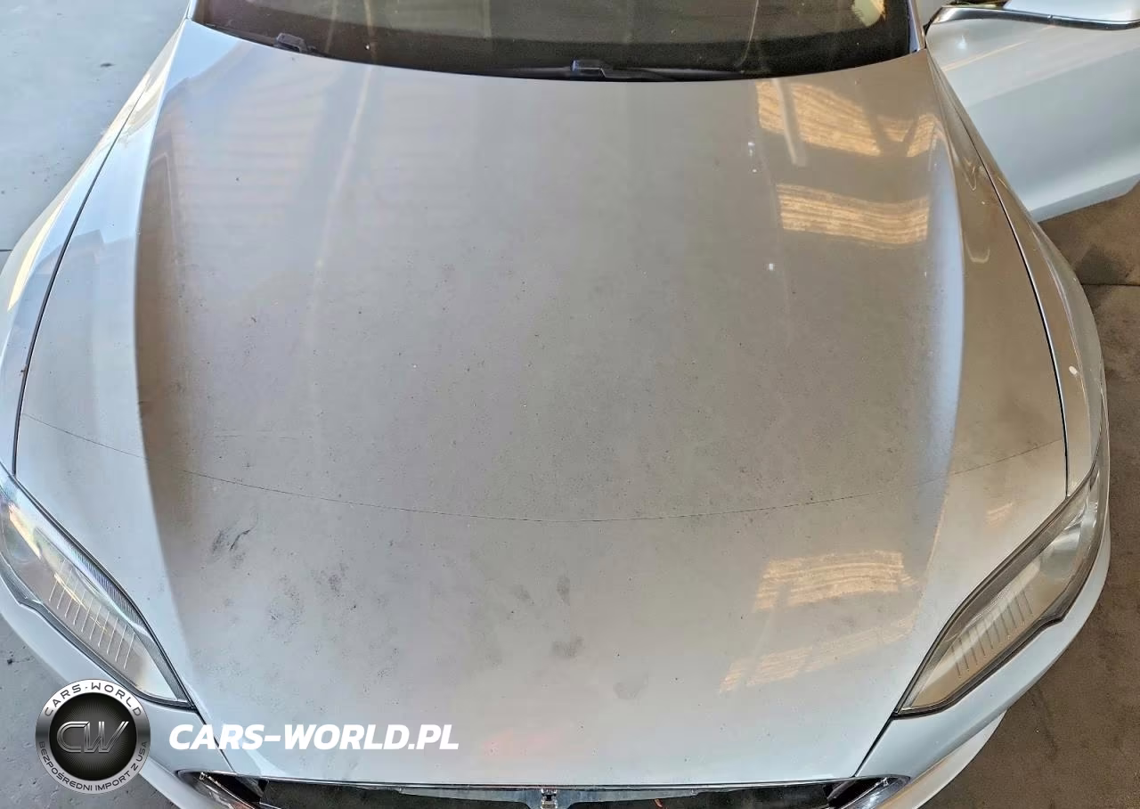 2013 Tesla Model S VIN:5YJSA1CN8DFP13772 - 11