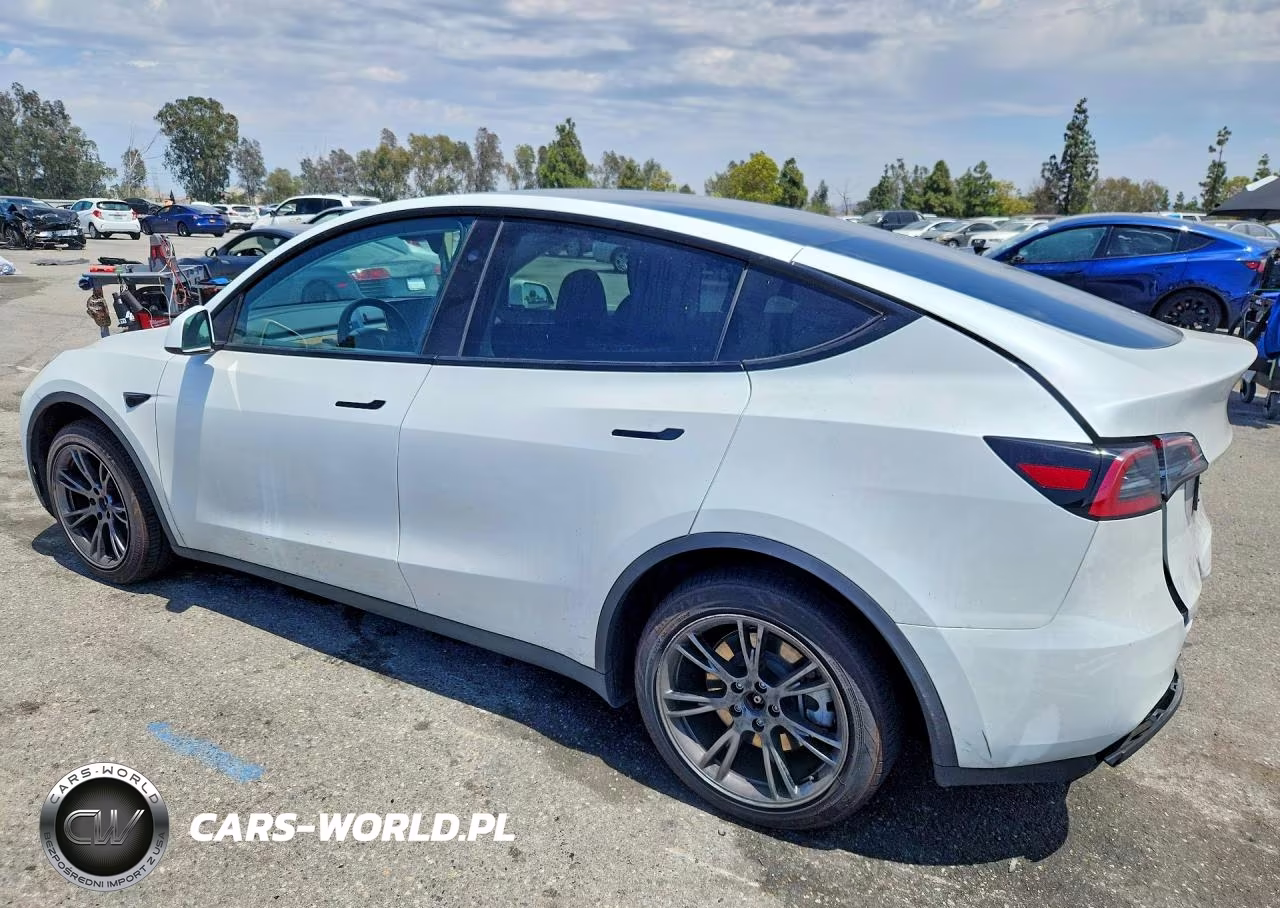 2025 Tesla Model Y VIN:7SAYGDED6SF272660 - 2