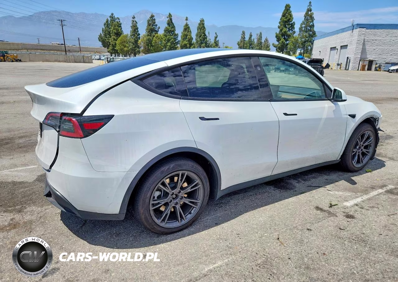 2025 Tesla Model Y VIN:7SAYGDED6SF272660 - 3