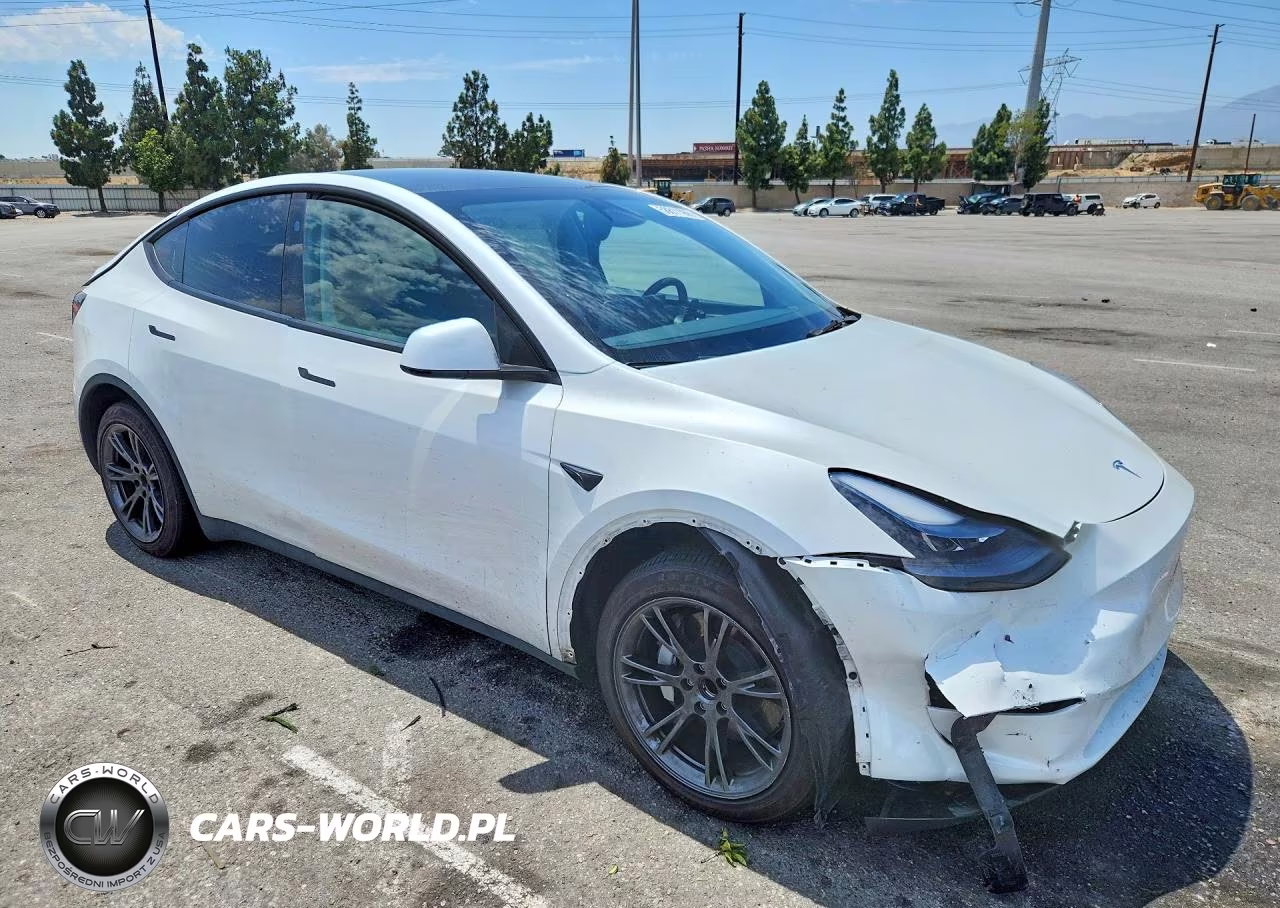 2025 Tesla Model Y VIN:7SAYGDED6SF272660 - 4