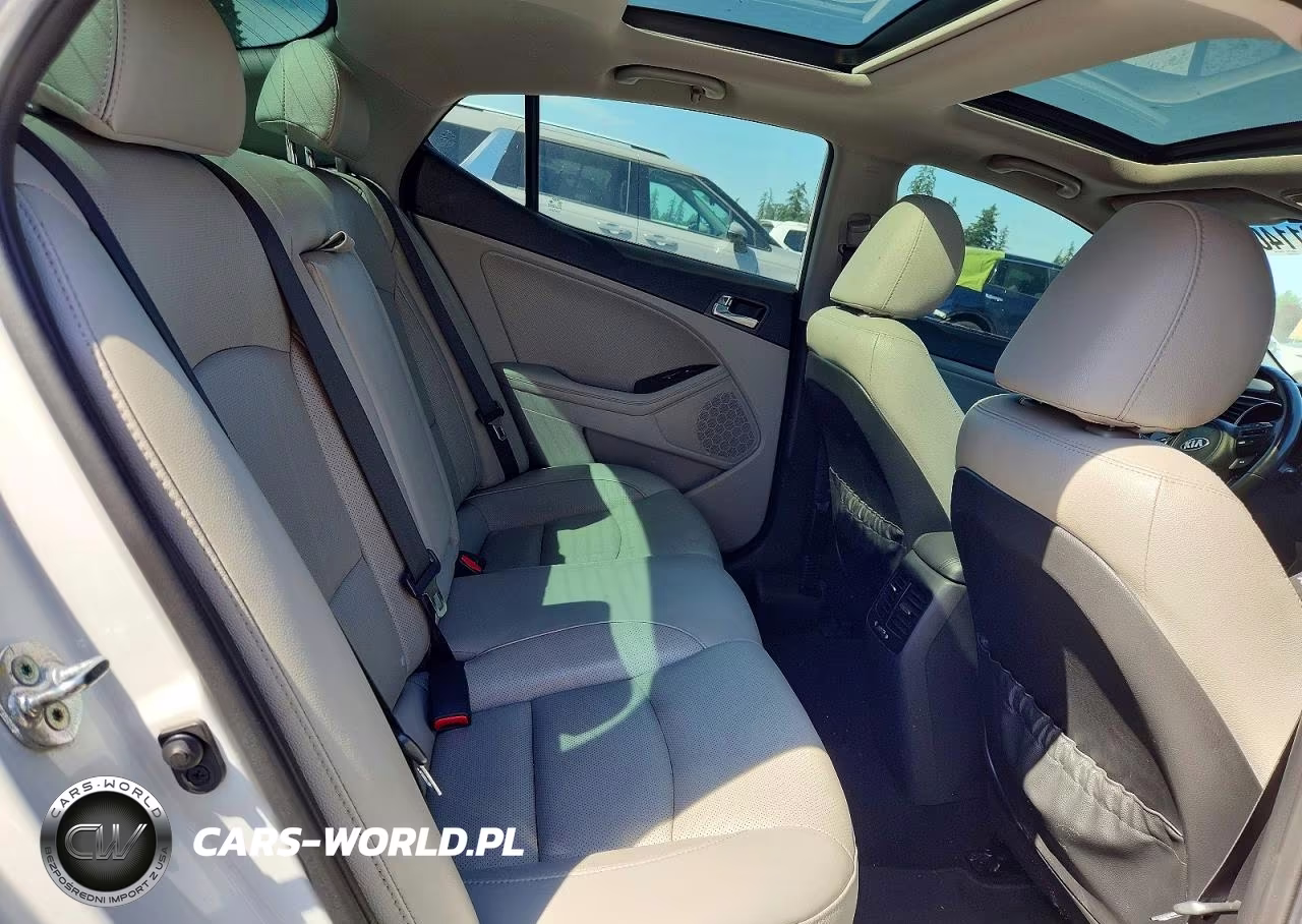 2014 Kia Optima Ex VIN:5XXGN4A7XEG338336 - 10
