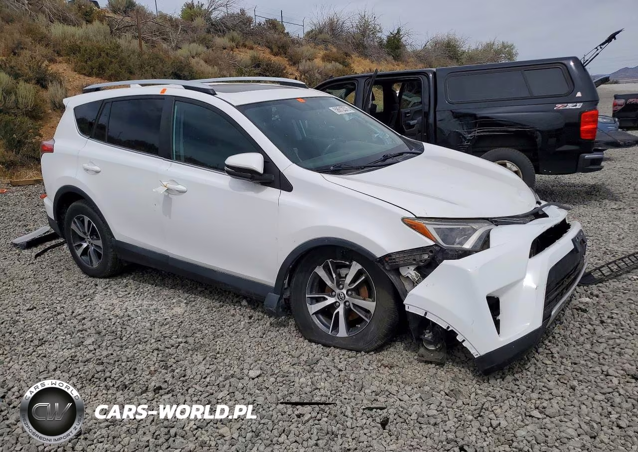 2016 Toyota Rav4 Xle VIN:2T3RFREV2GW438779 - 4