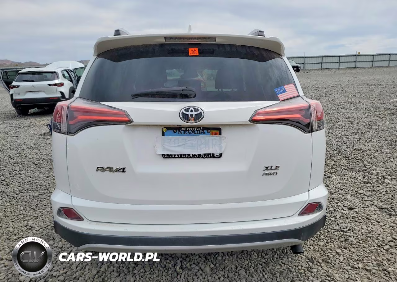 2016 Toyota Rav4 Xle VIN:2T3RFREV2GW438779 - 6