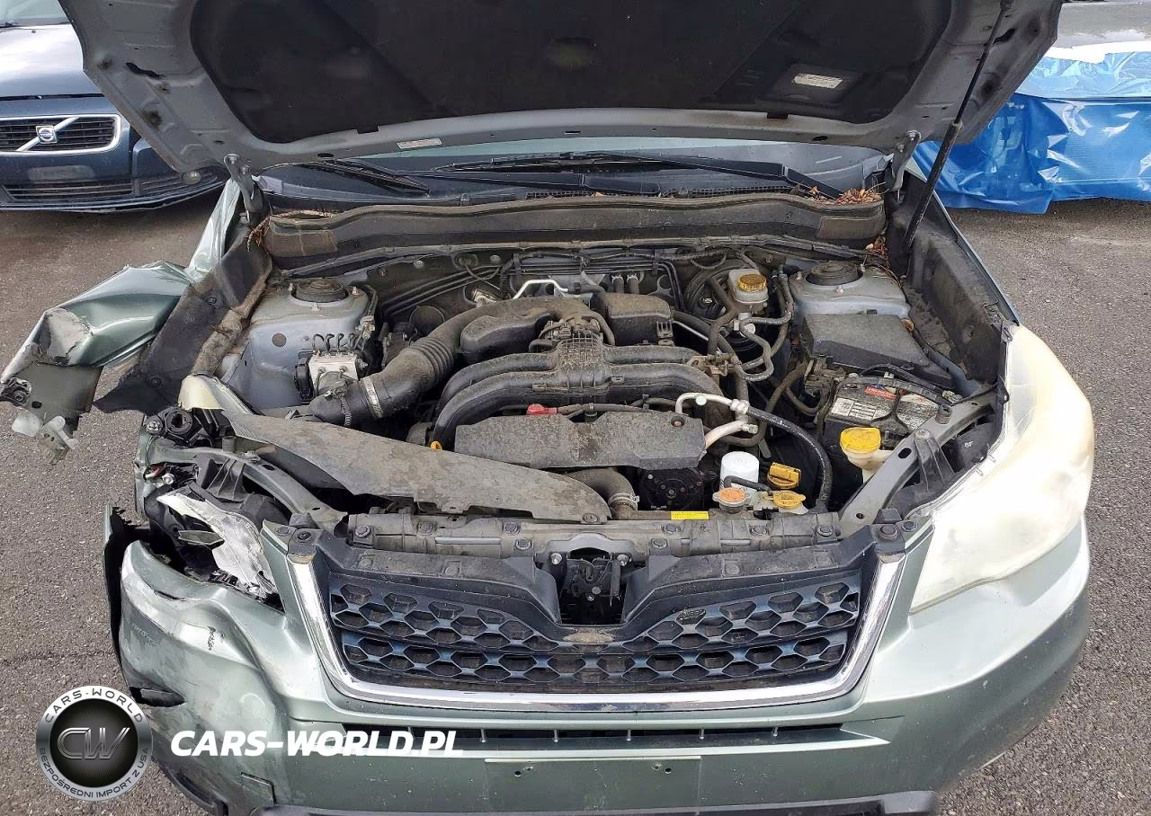 2015 Subaru Forester 2.5I Limited VIN:JF2SJAHC5FH416597 - 11