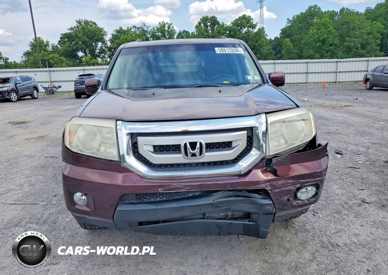 2010 Honda Pilot Exl VIN:5FNYF4H58AB026423 - 5