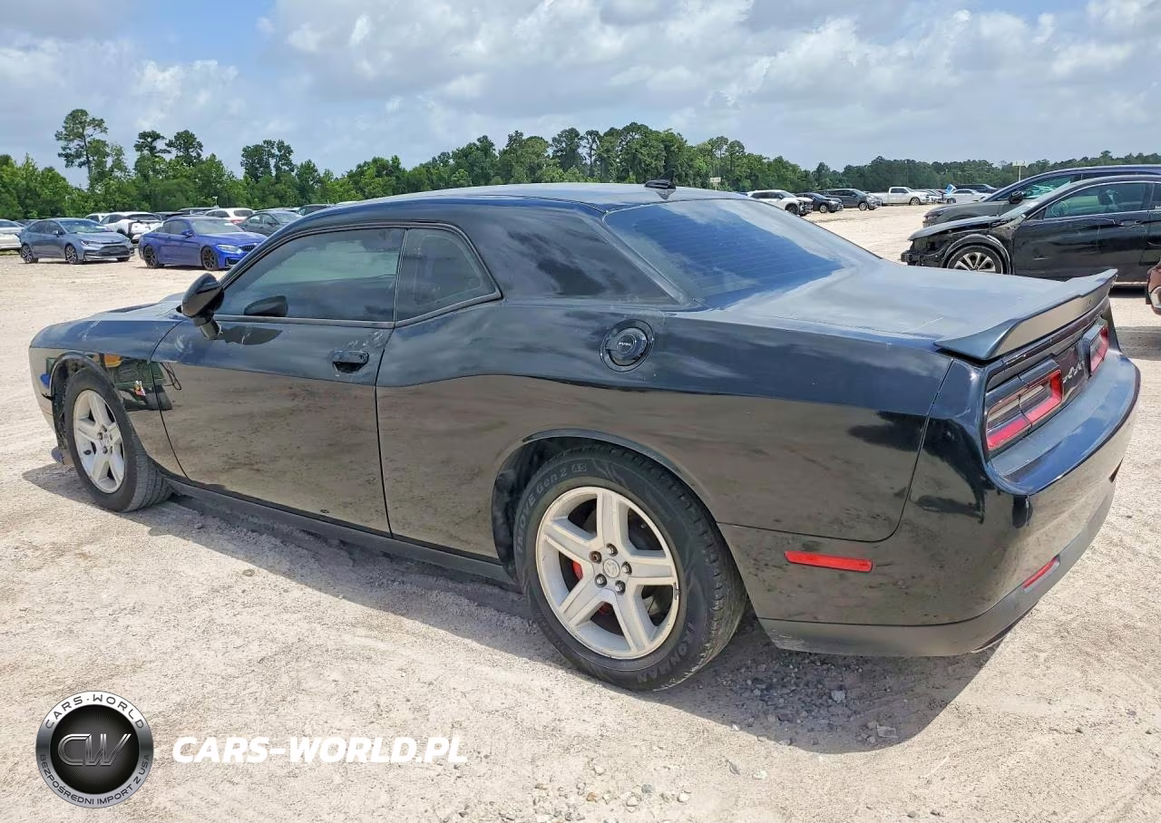 2020 Dodge Challenger R VIN:2C3CDZFJ3LH106100 - 2