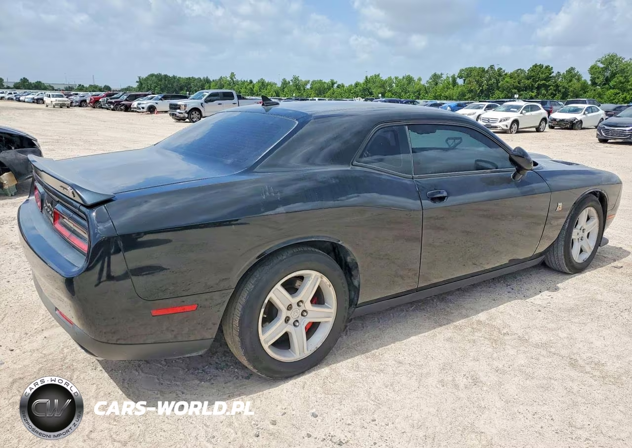 2020 Dodge Challenger R VIN:2C3CDZFJ3LH106100 - 3