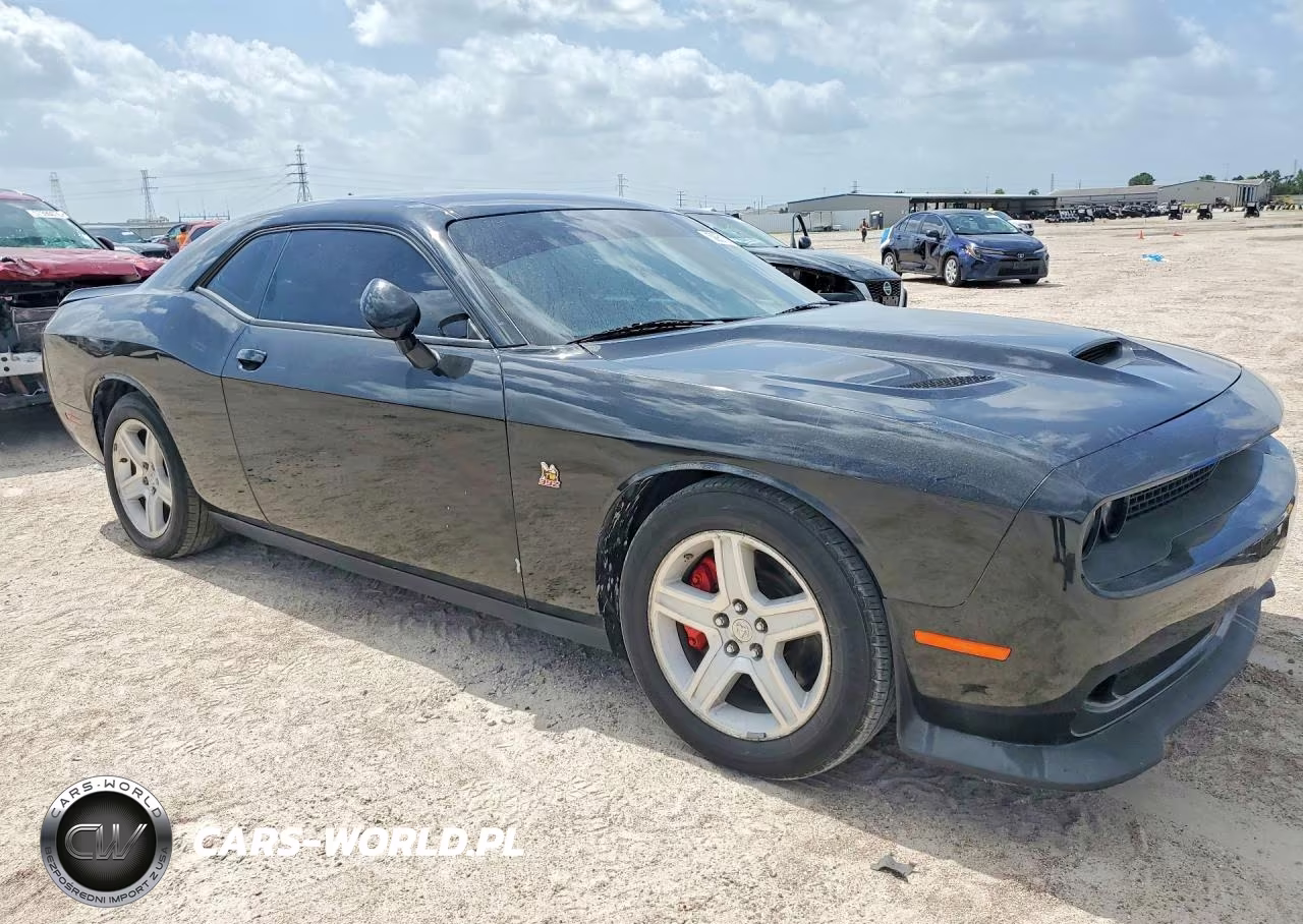 2020 Dodge Challenger R VIN:2C3CDZFJ3LH106100 - 4
