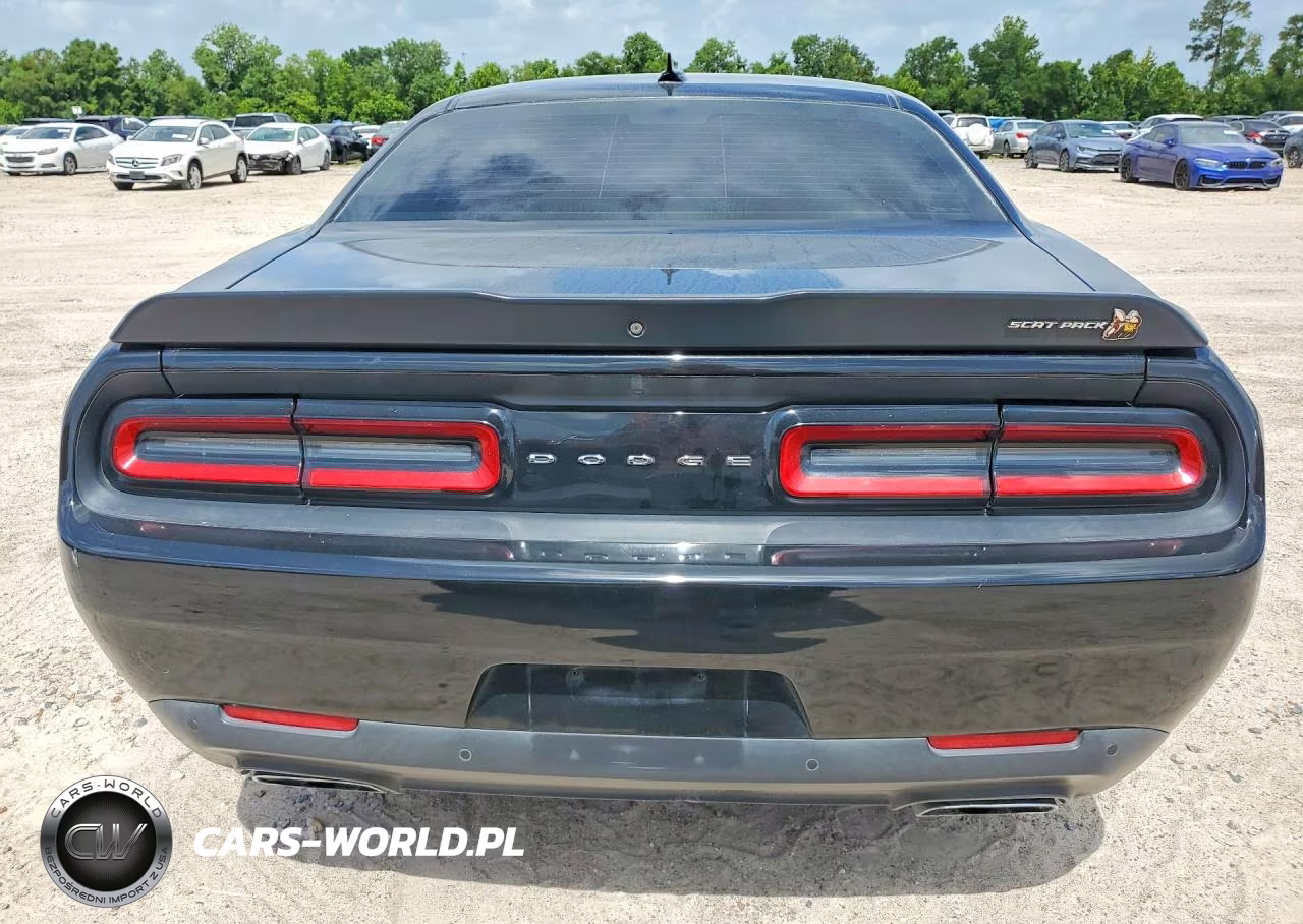 2020 Dodge Challenger R VIN:2C3CDZFJ3LH106100 - 6