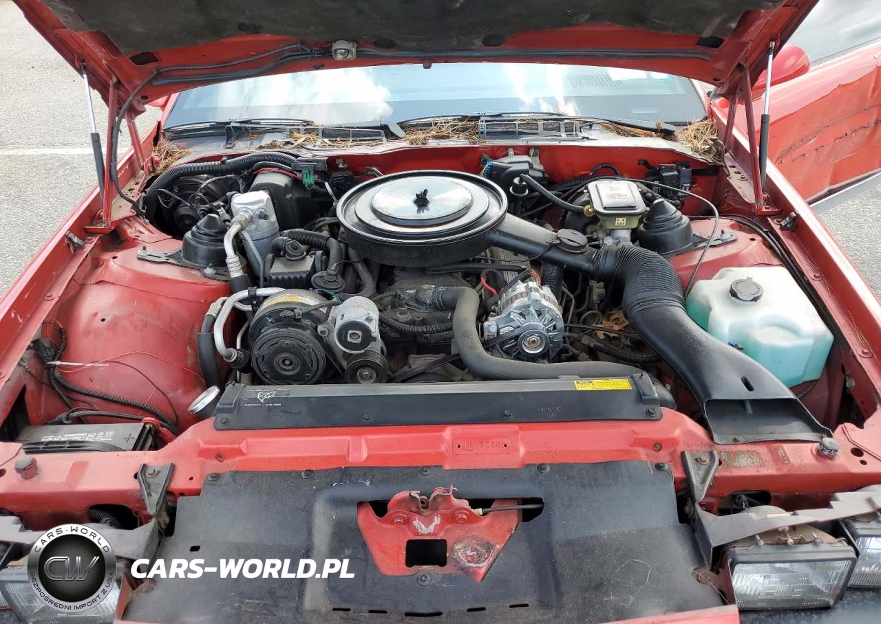 1988 Chevrolet Camaro VIN:1G1FP31E0JL169204 - 11