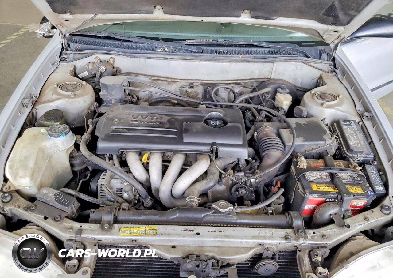 2000 Toyota Corolla Ve VIN:1NXBR12E8YZ407044 - 11