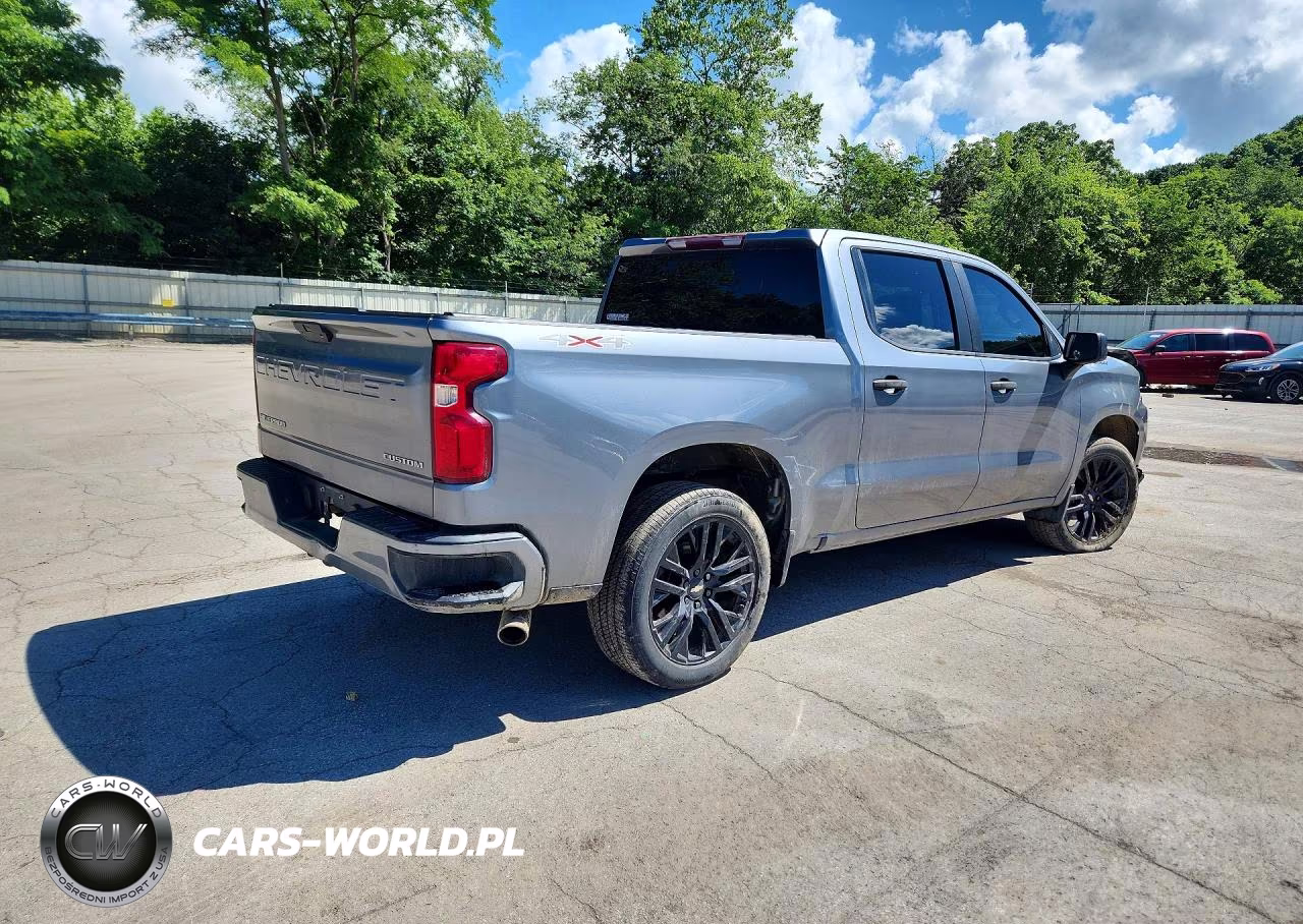 2019 Chevrolet Silverado K1500 Custom VIN:1GCPYBEH2KZ328763 - 3