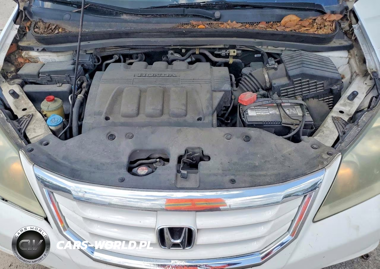 2010 Honda Odyssey Exl VIN:5FNRL3H77AB069921 - 12