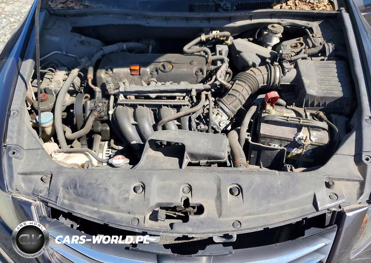 2011 Honda Accord Lx VIN:1HGCP2F33BA044210 - 11