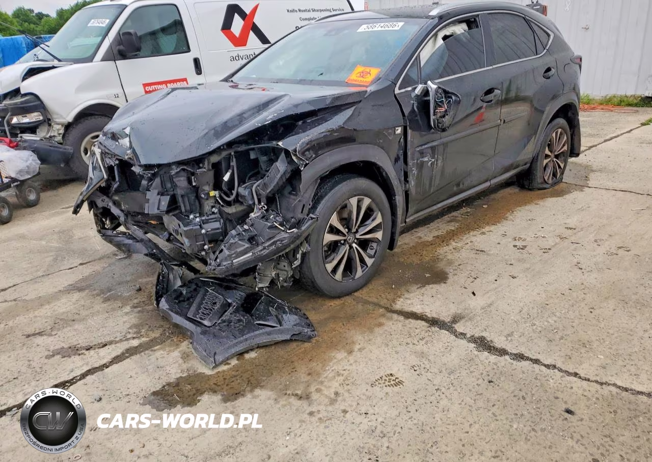 2019 Lexus Nx 300 F Sport