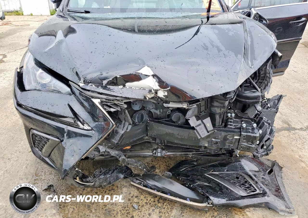2019 Lexus Nx 300 F Sport VIN:JTJBARBZ4K2188211 - 11