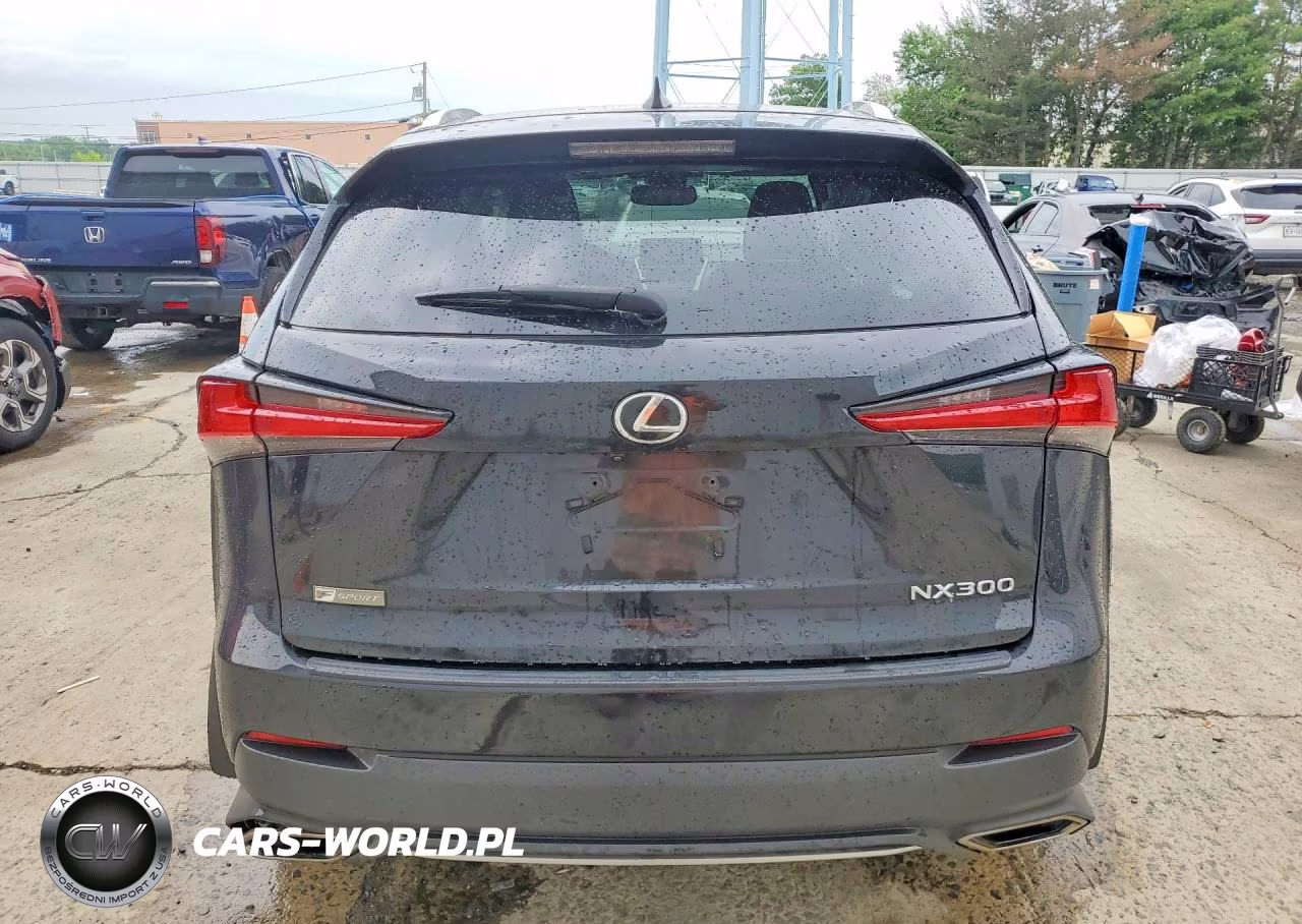 2019 Lexus Nx 300 F Sport VIN:JTJBARBZ4K2188211 - 6