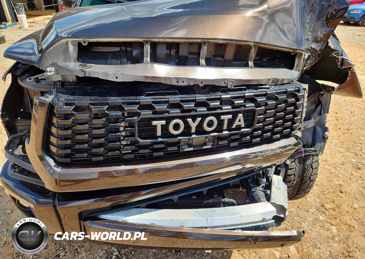 2020 Toyota Tundra Platinum VIN:5TFAY5F19LX887975 - 11
