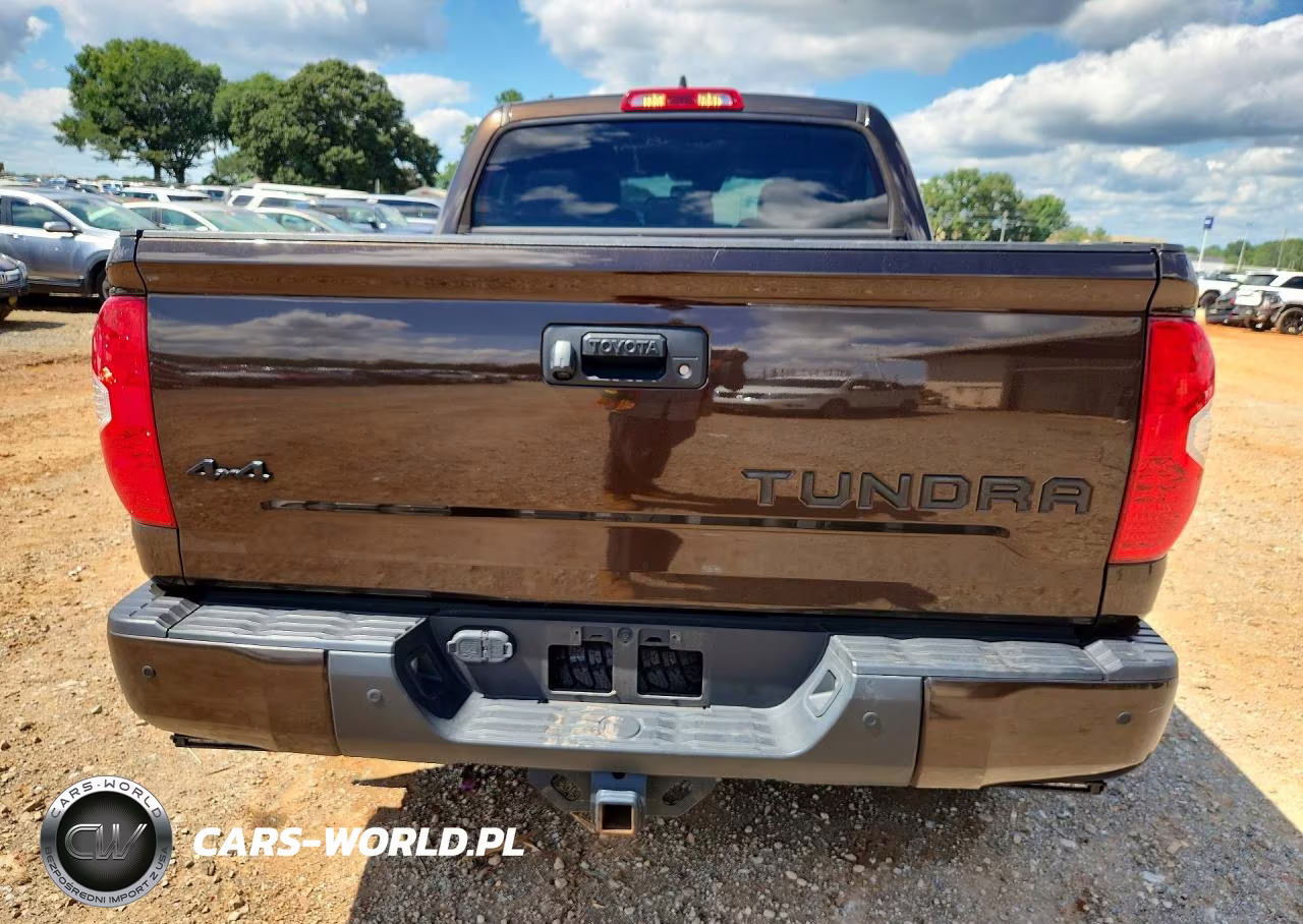2020 Toyota Tundra Platinum VIN:5TFAY5F19LX887975 - 6