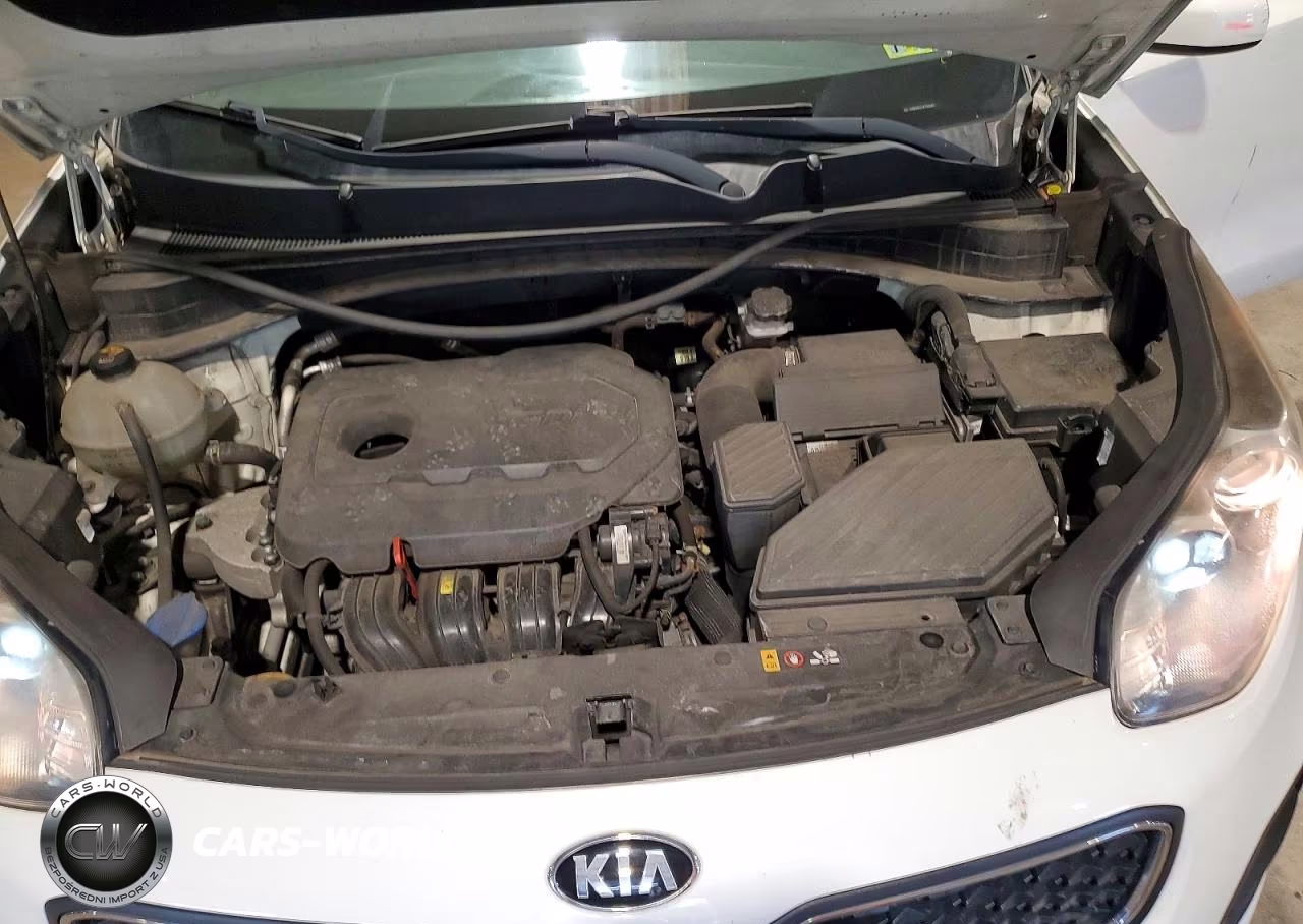 2019 Kia Sportage Lx VIN:KNDPM3AC7K7521109 - 12