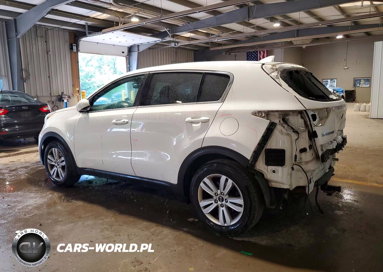 2019 Kia Sportage Lx VIN:KNDPM3AC7K7521109 - 2