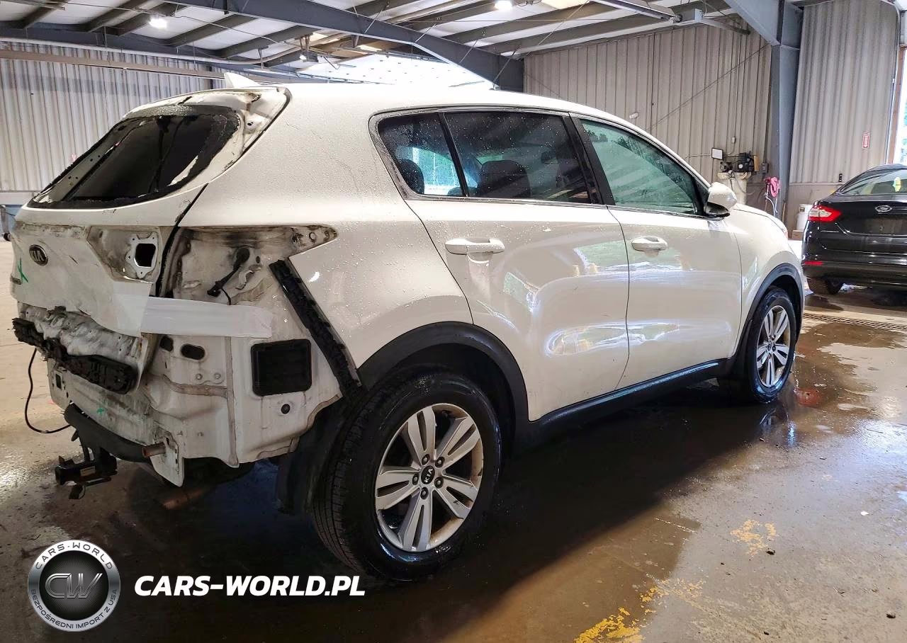2019 Kia Sportage Lx VIN:KNDPM3AC7K7521109 - 3