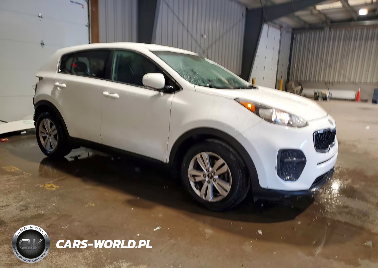 2019 Kia Sportage Lx VIN:KNDPM3AC7K7521109 - 4