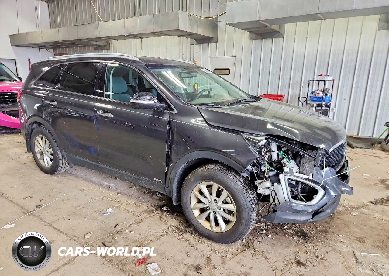 2016 Kia Sorento Lx VIN:5XYPGDA35GG169770 - 4