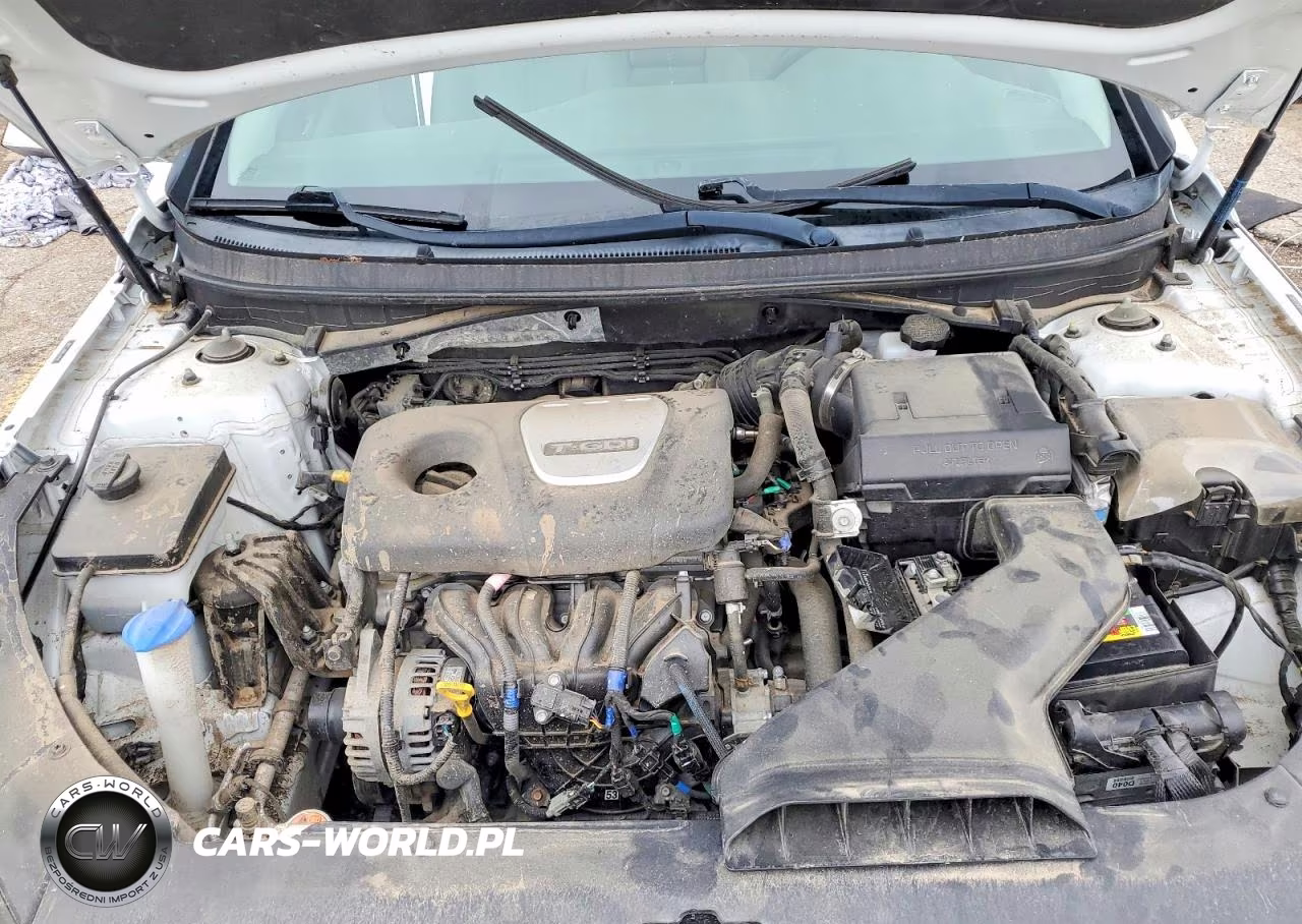 2019 Hyundai Sonata Eco Turbo VIN:5NPE24AA9KH756978 - 11