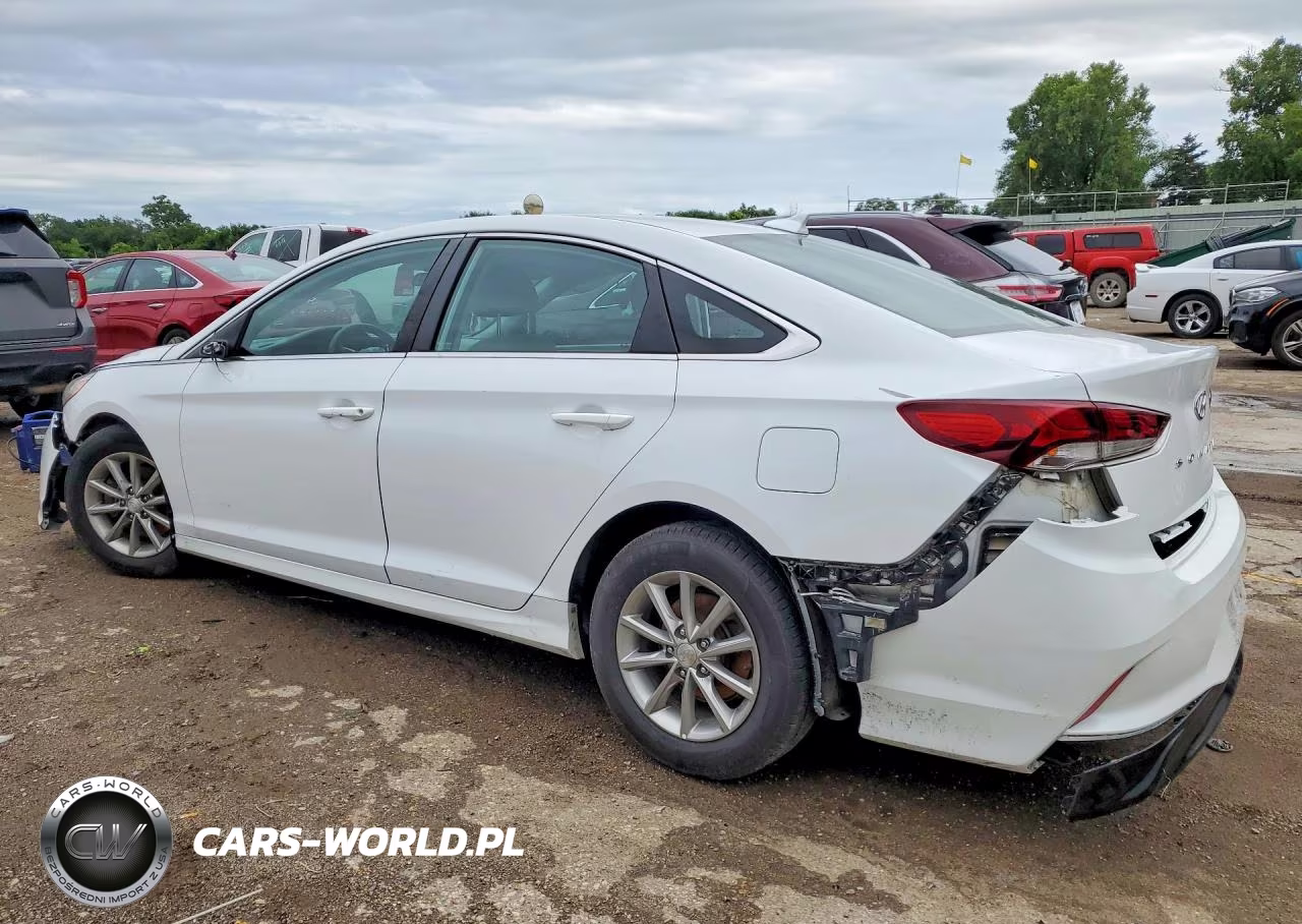 2019 Hyundai Sonata Eco Turbo VIN:5NPE24AA9KH756978 - 2