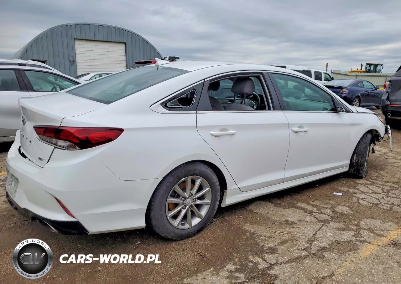 2019 Hyundai Sonata Eco Turbo VIN:5NPE24AA9KH756978 - 3