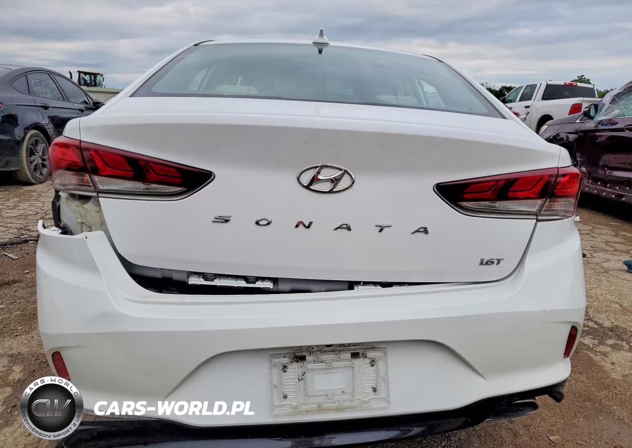 2019 Hyundai Sonata Eco Turbo VIN:5NPE24AA9KH756978 - 6