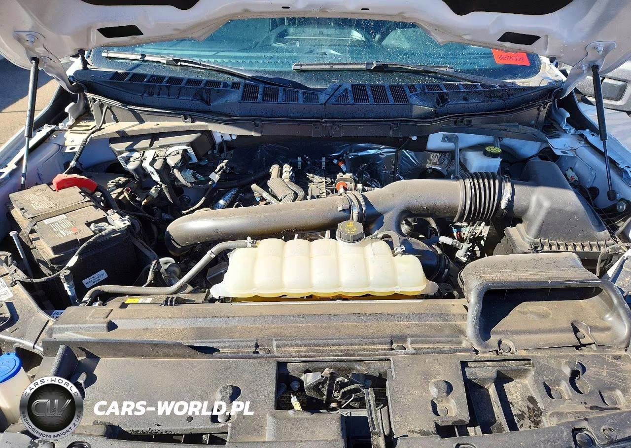 2024 Ford F150 Xlt VIN:1FTFW3L82RFC02845 - 11