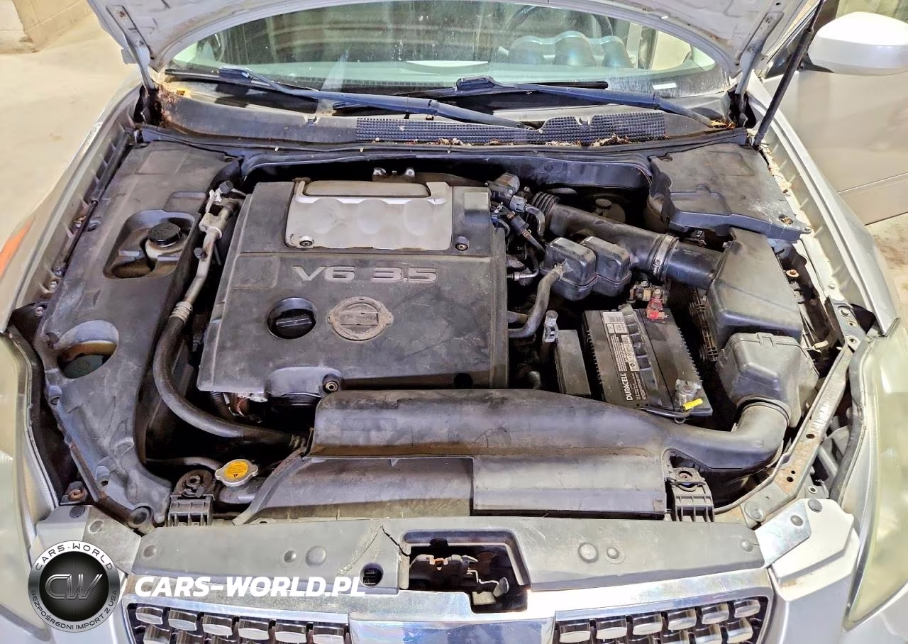 2005 Nissan Maxima 3.5 Se VIN:1N4BA41E85C869805 - 11