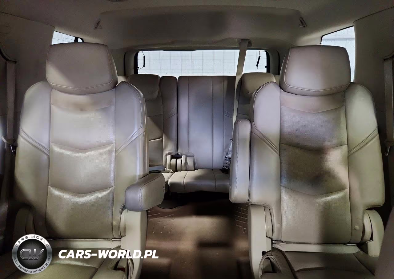 2015 Cadillac Escalade Premium VIN:1GYS4CKJ3FR178052 - 10