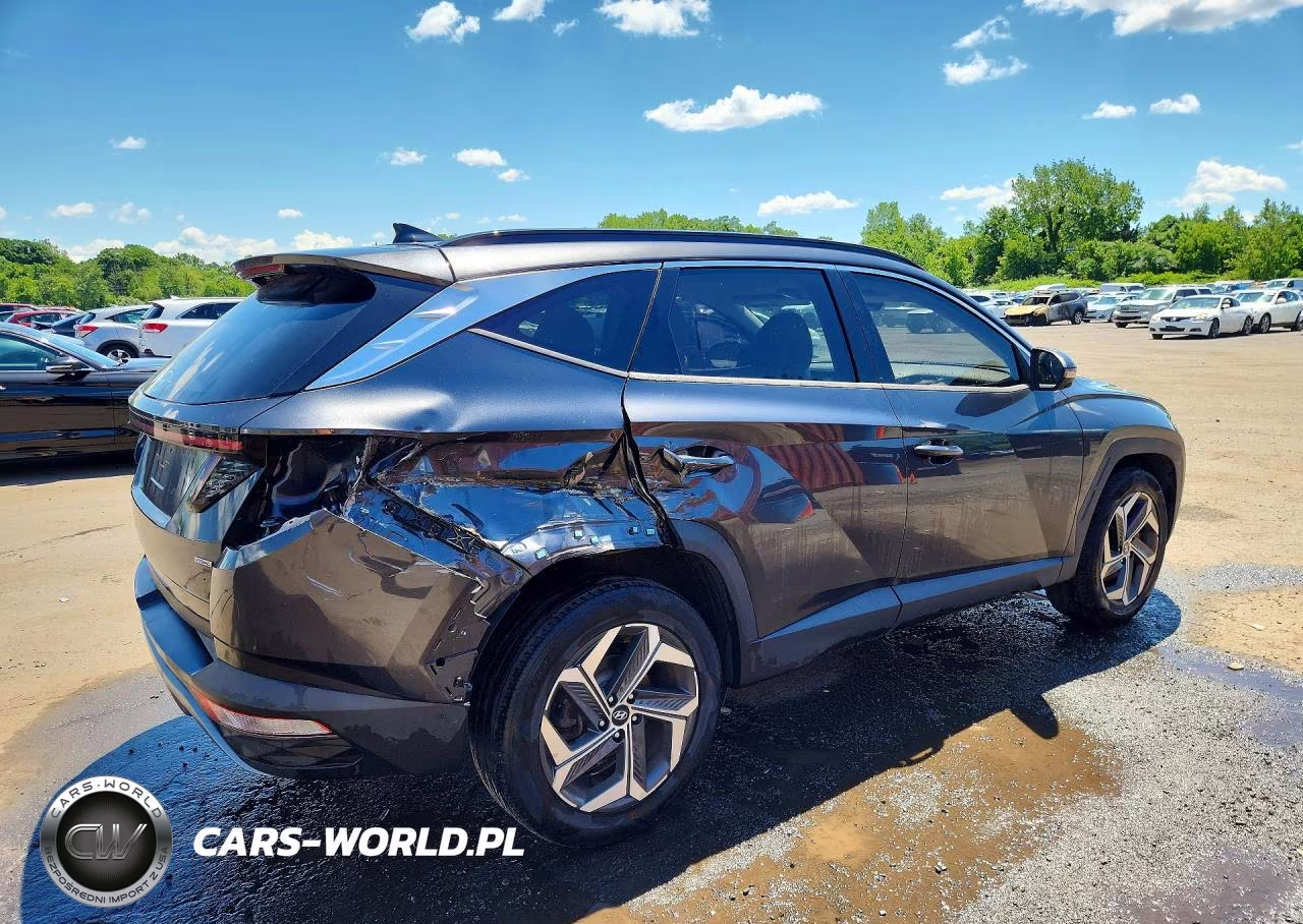 2022 Hyundai Tucson Limited VIN:5NMJECAE4NH013133 - 3