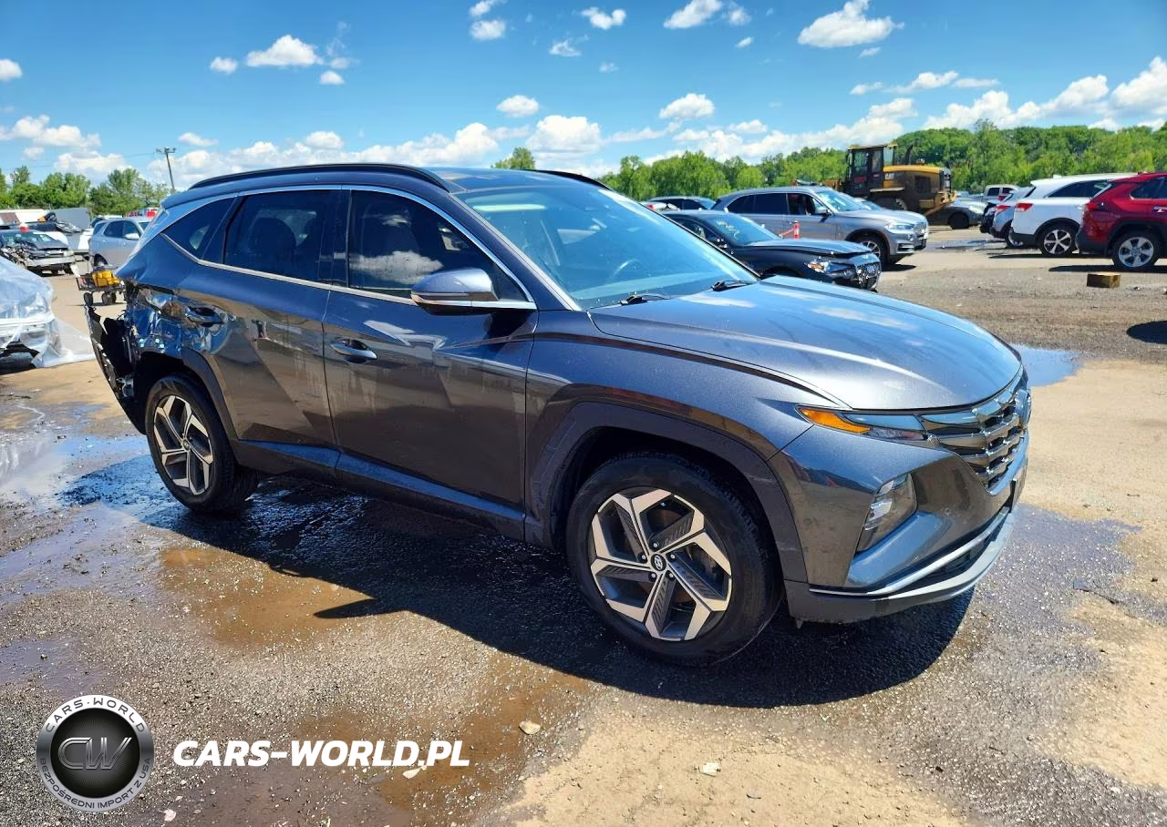 2022 Hyundai Tucson Limited VIN:5NMJECAE4NH013133 - 4