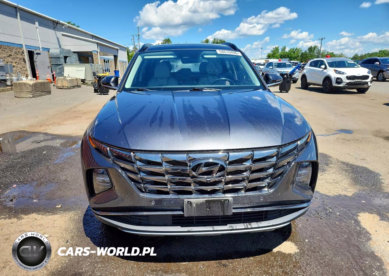 2022 Hyundai Tucson Limited VIN:5NMJECAE4NH013133 - 5