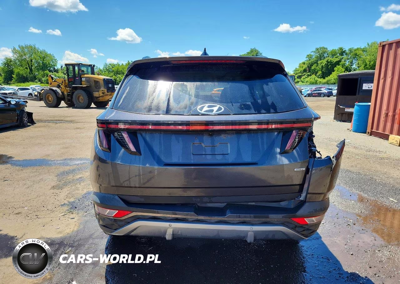 2022 Hyundai Tucson Limited VIN:5NMJECAE4NH013133 - 6