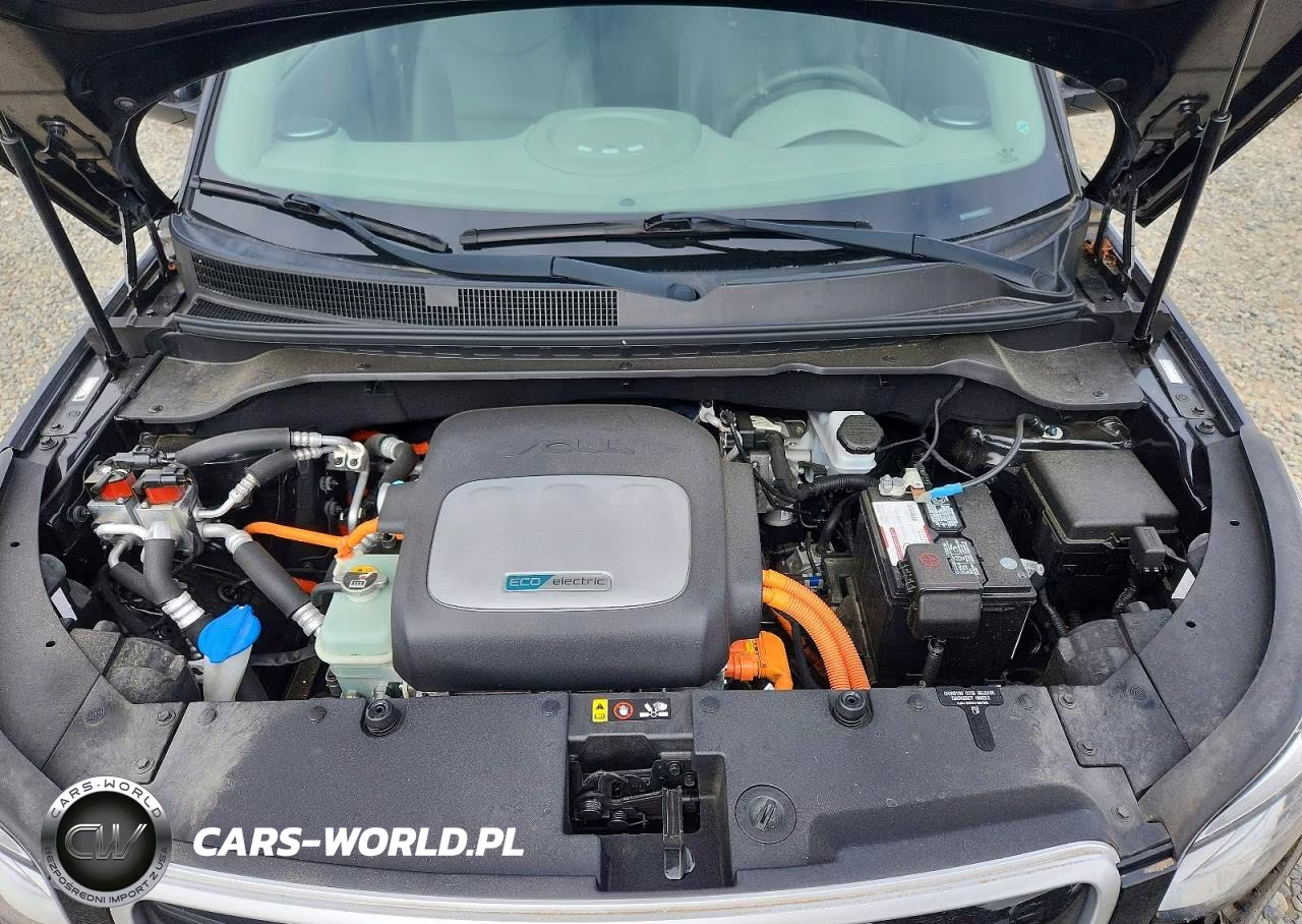 2016 Kia Soul Ev + VIN:KNDJX3AE8G7013740 - 11