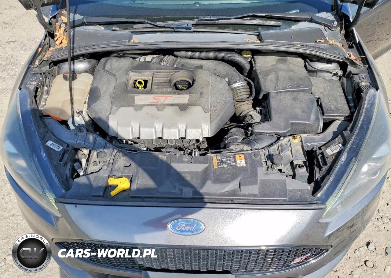 2017 Ford Focus St VIN:1FADP3L93HL306554 - 11