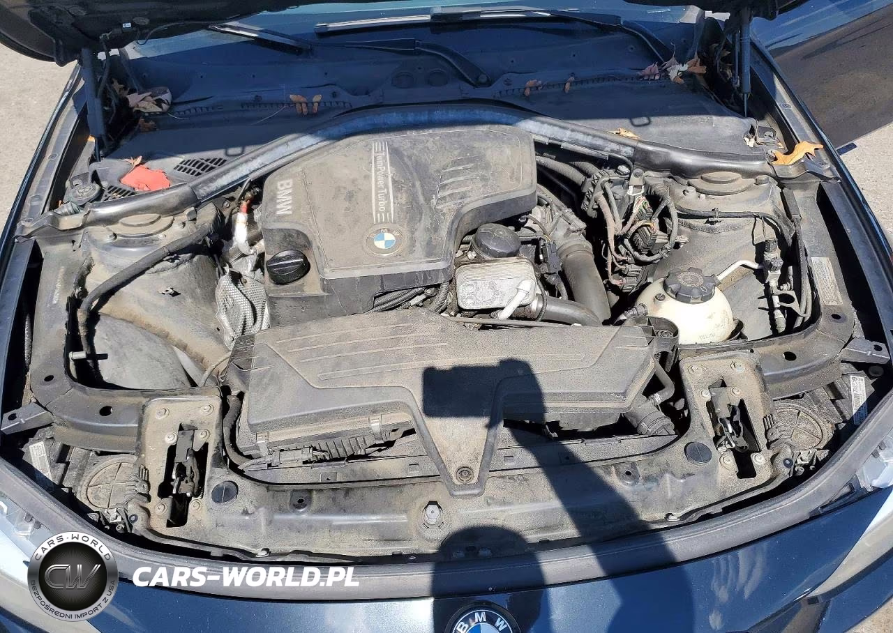 2014 BMW 328 Xi Sulev VIN:WBA3B5C54EP542502 - 11