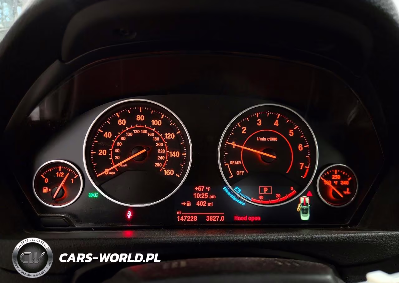 2014 BMW 428 Xi VIN:WBA3V9C55EPR69895 - 9