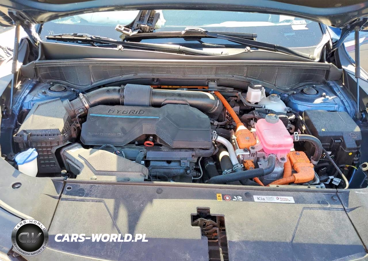 2025 Kia Sorento Sxp VIN:KNDRKDJG1S5289951 - 12