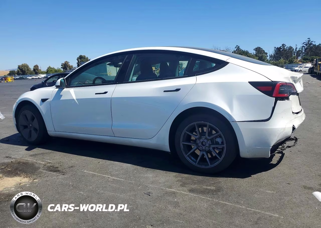 2023 Tesla Model 3 VIN:5YJ3E1EA1PF709361 - 2