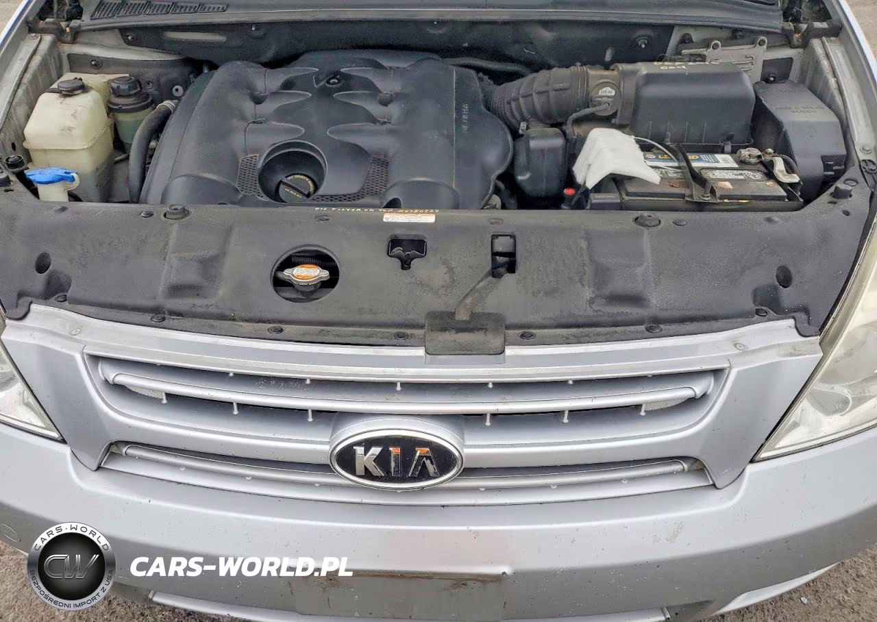 2008 Kia Sedona Lx VIN:KNDMB233586262487 - 12