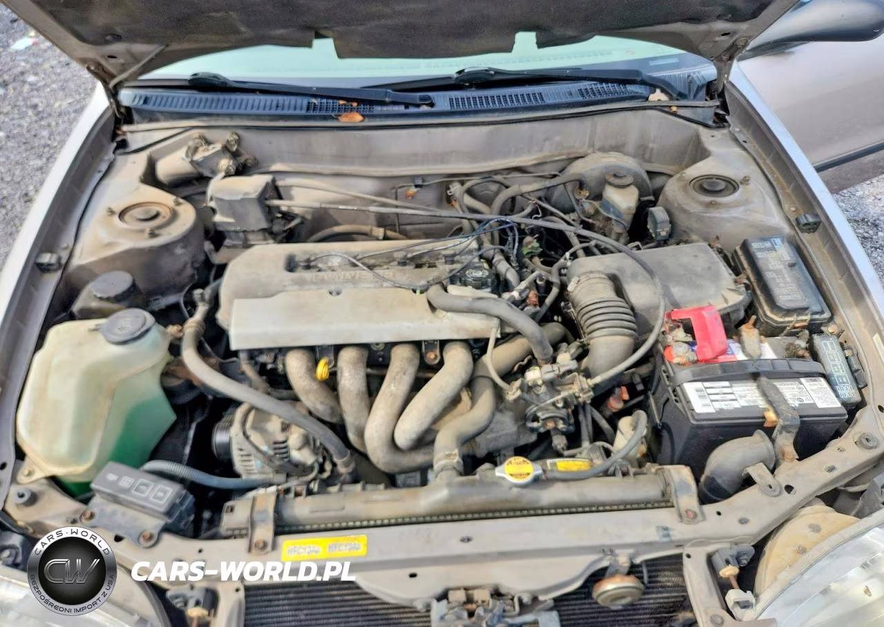 1999 Toyota Corolla Ve VIN:2T1BR12E6XC240148 - 11