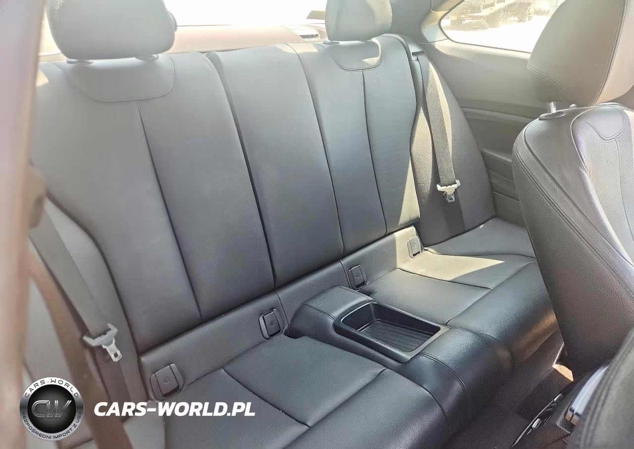 2015 BMW 228 Xi Sulev VIN:WBA1G9C57FVX96766 - 10
