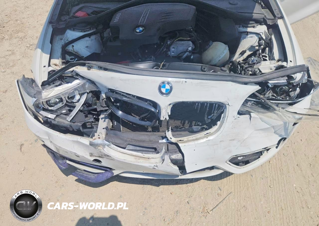 2015 BMW 228 Xi Sulev VIN:WBA1G9C57FVX96766 - 11